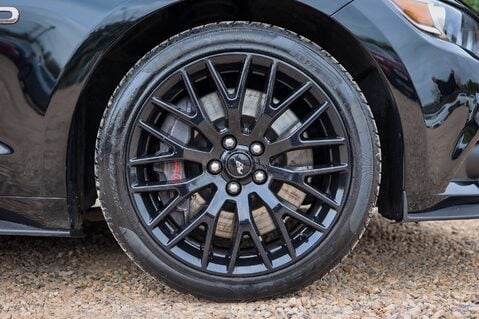 Ford Mustang GT 5.0  V8 MANUAL CABRIOLET 12