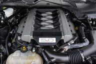 Ford Mustang GT 5.0  V8 MANUAL CABRIOLET 45