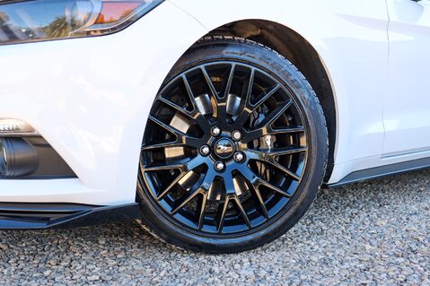 Ford Mustang 2.3 ECOBOOST AUTO 54