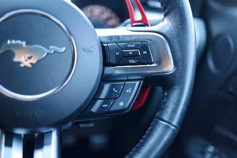 Ford Mustang 2.3 ECOBOOST AUTO 25