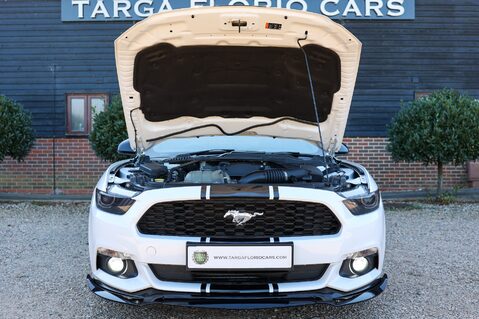 Ford Mustang 2.3 ECOBOOST AUTO 49