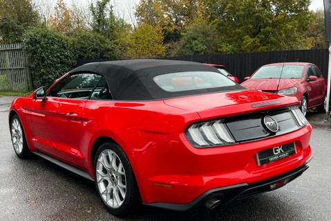 Ford Mustang ECOBOOST -ADAPTIVE CRUISE CONTROL -APPLE CAR PLAY -LOW MILEAGE 2