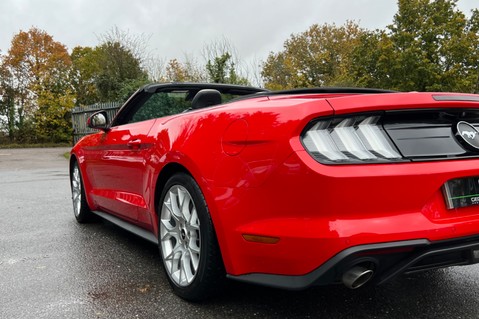 Ford Mustang ECOBOOST -ADAPTIVE CRUISE CONTROL -APPLE CAR PLAY -LOW MILEAGE 64