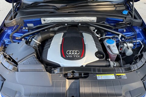 Audi SQ5 SQ5 PLUS TDI QUATTRO - PAN ROOF -B&O - DIAMOND STITCHED LEATHER - 21 INCH  58
