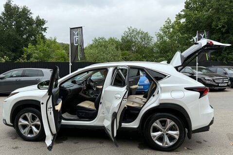 Lexus NX 300H PREMIER - IVORY LEATHER INTERIOR - HUD - 360 CAMERAS 20