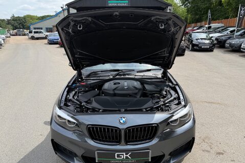 BMW 2 Series 218I M SPORT -PRO PACK -HARMAN KARDON -1 OWNER FROM NEW 62