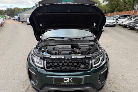 Land Rover Range Rover Evoque TD4 HSE DYNAMIC - 2 OWNERS - FULL SERVICE HISTORY - BRITISH RACING GREEN 53