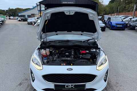 Ford Fiesta TREND - APPLE CAR PLAY - SAT NAV - LOW INSURANCE 44