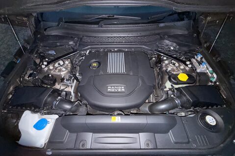 Land Rover Range Rover Sport SDV6 AUTOBIOGRAPHY DYNAMIC - 7 SEATER - ELECTRIC STEPS - RARE COLOUR COMBO 65
