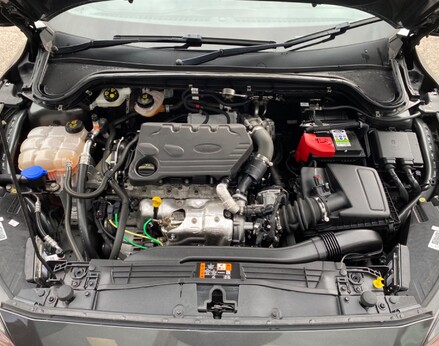 Ford Focus VIGNALE TDCI 7