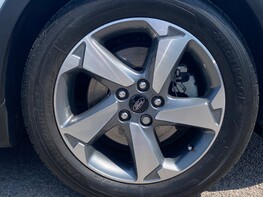 Ford Focus 1.5 13