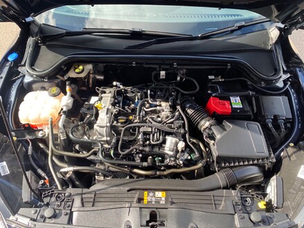 Ford Focus VIGNALE EDITION MHEV