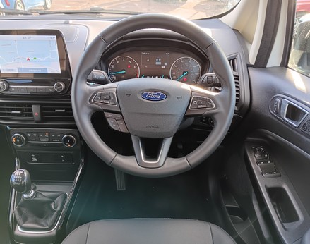 Ford Ecosport ACTIVE 17