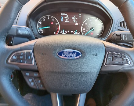 Ford Ecosport ACTIVE 18