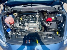 Ford Fiesta VIGNALE 7