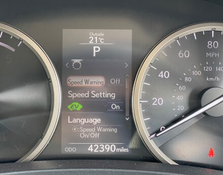 Lexus NX 300H LUXURY 25