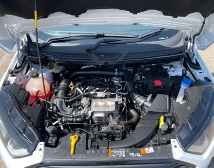 Ford Ecosport ST-LINE 7