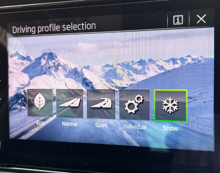 Skoda Karoq SE L TDI SCR DSG 46