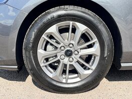 Ford Focus TITANIUM MHEV 13