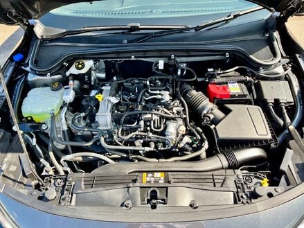 Ford Focus TITANIUM MHEV