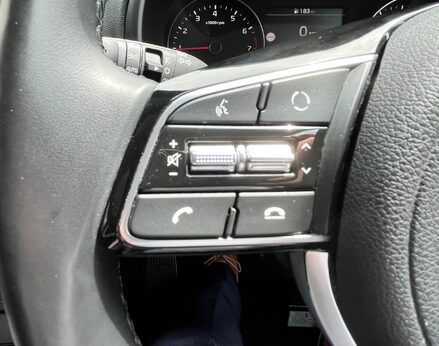Kia Sportage PLATINUM EDITION ISG 52