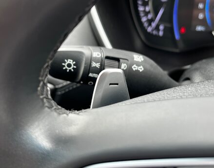 Hyundai SANTA FE CRDI PREMIUM SE 51