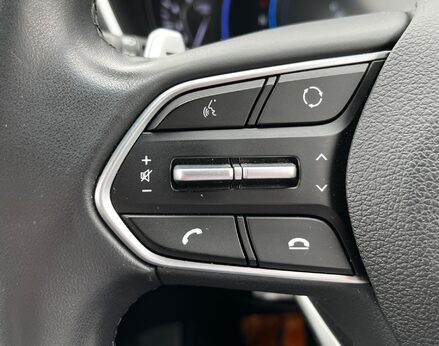 Hyundai SANTA FE CRDI PREMIUM SE 49