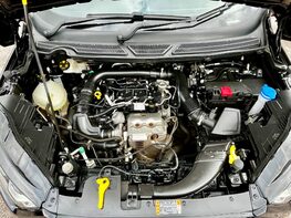 Ford Ecosport ST-LINE 7