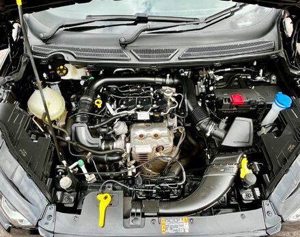 Ford Ecosport ST-LINE 7