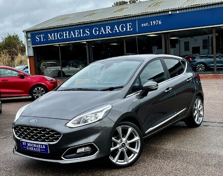 Ford Fiesta VIGNALE 1