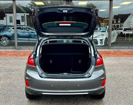 Ford Fiesta VIGNALE 59