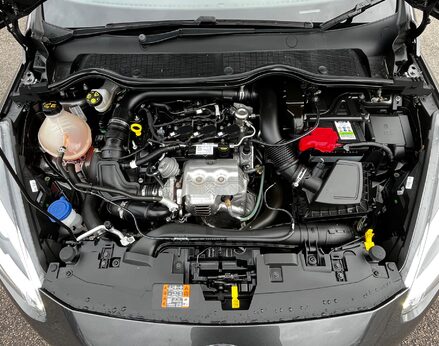 Ford Fiesta VIGNALE 7