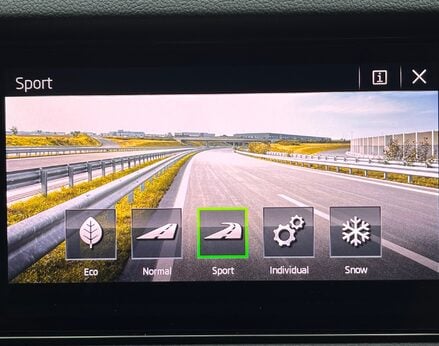 Skoda Kodiaq SE L TSI DSG 46