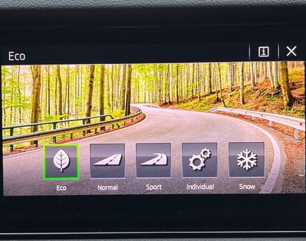 Skoda Kodiaq SE L TSI DSG 44