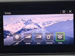 Skoda Kodiaq SE L TSI DSG 48