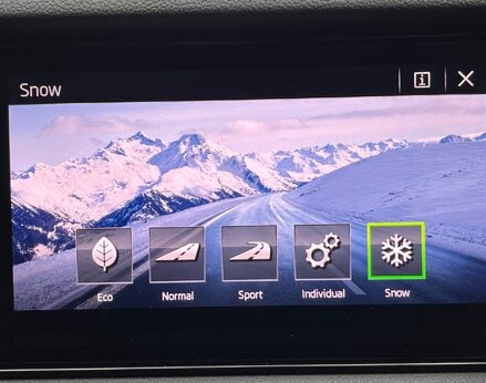 Skoda Kodiaq SE L TSI DSG 48