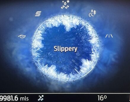 Ford Puma ST-LINE VIGNALE MHEV 33