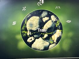 Ford Puma ST-LINE X MHEV 32