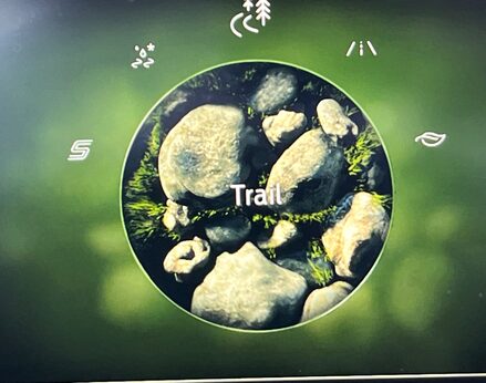 Ford Puma ST-LINE X MHEV 32