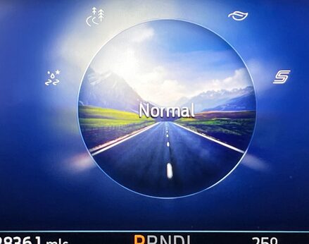 Ford Puma ST-LINE X MHEV 28