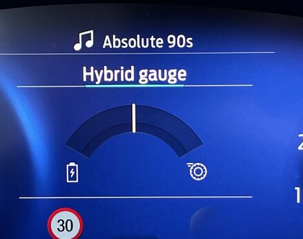 Ford Puma ST-LINE X MHEV 25