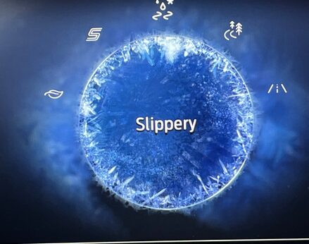 Ford Puma ST-LINE X MHEV 31