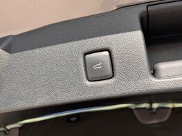 Ford Kuga ST-LINE X EDITION ECOBLUE 81