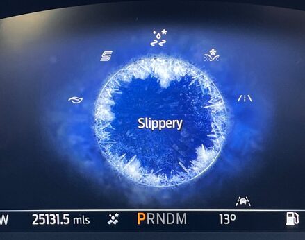 Ford Kuga ST-LINE X EDITION ECOBLUE 32