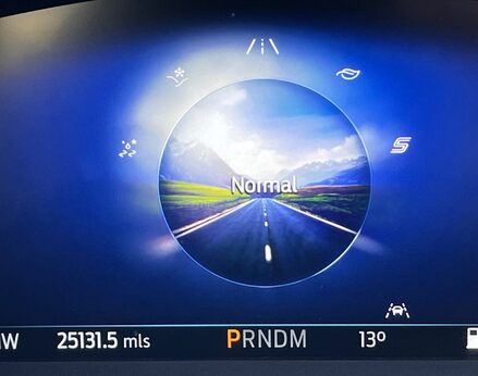 Ford Kuga ST-LINE X EDITION ECOBLUE 29