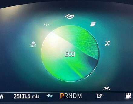 Ford Kuga ST-LINE X EDITION ECOBLUE 30