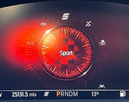 Ford Kuga ST-LINE X EDITION ECOBLUE 31