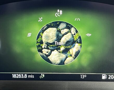 Ford Puma ST-LINE X MHEV 34