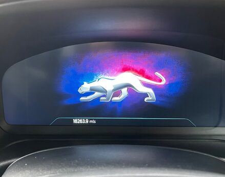 Ford Puma ST-LINE X MHEV 21