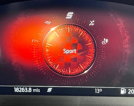 Ford Puma ST-LINE X MHEV 32